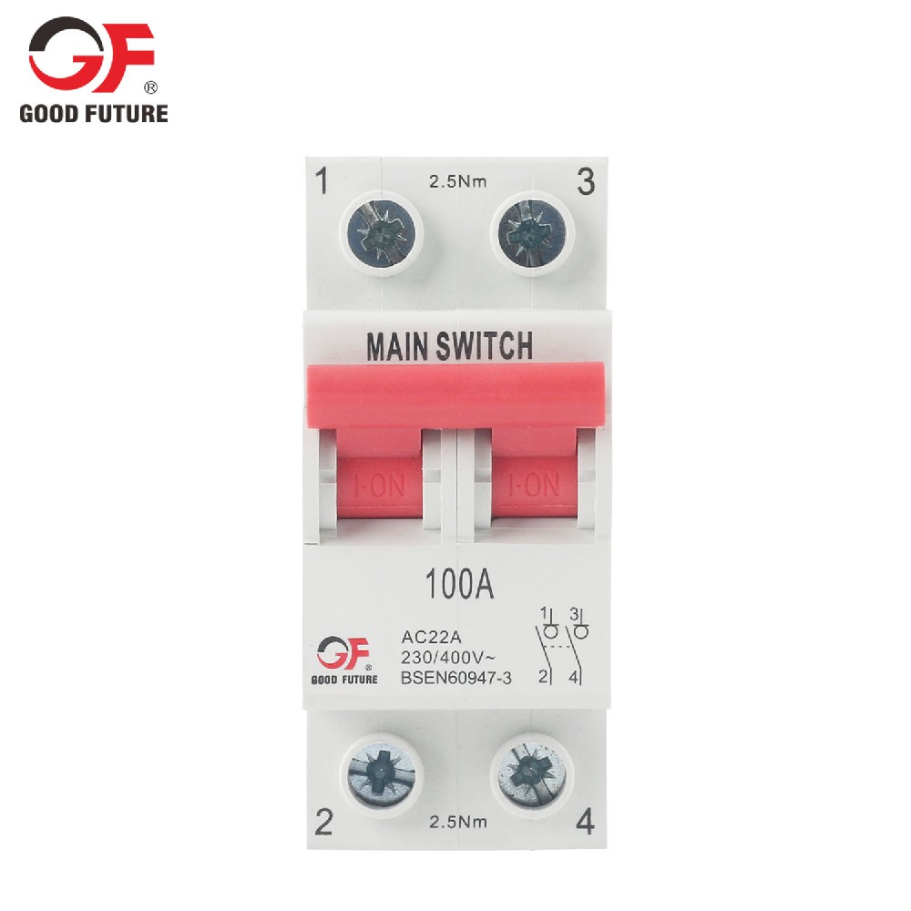 100A DP Main Switch